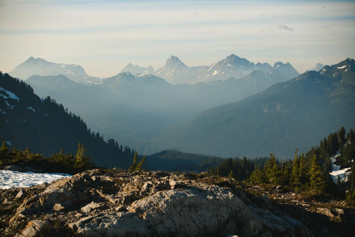 Czy lepiej zdobyć certyfiakt ecovadis w dzień czy w nocy?