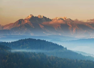Jak przyjemnie zamówić pokazy tańca Warszawa?