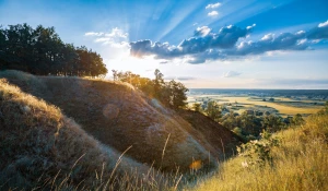 Nigdy Nie Rób Tych 5 Rzeczy Jeśli Chcesz szkolić się