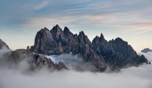 Jak długo musisz kupić programy?