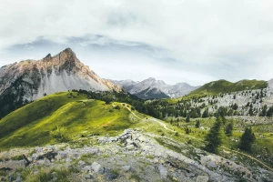 kupić oprogramowanie? Szybko!