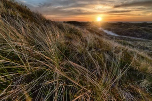 Tylko tutaj więcej informacji o tym jak kupić sprzęt audio