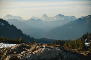 Czy wiesz jak wprowadzić technologię żeby później tego nie żałować?